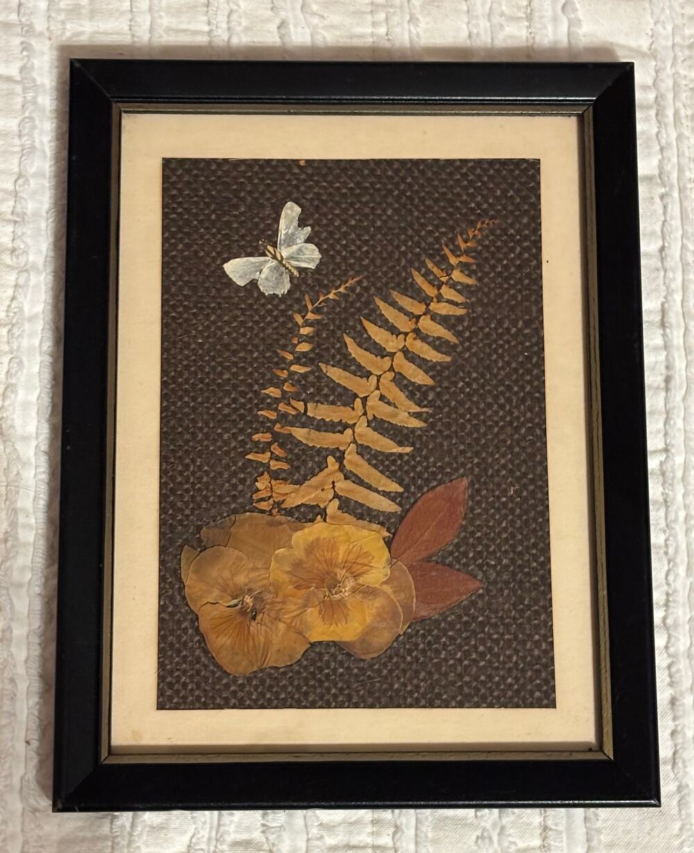 Vintage Pressed Flower & Butterfly Art Framed Botanical Collage 1960s 70s 9x7 in
